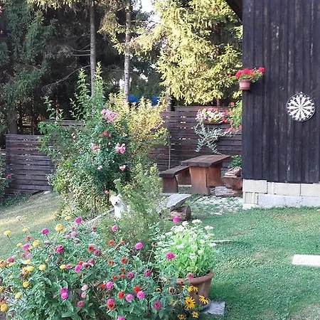 River Dream House Počitniška hiša